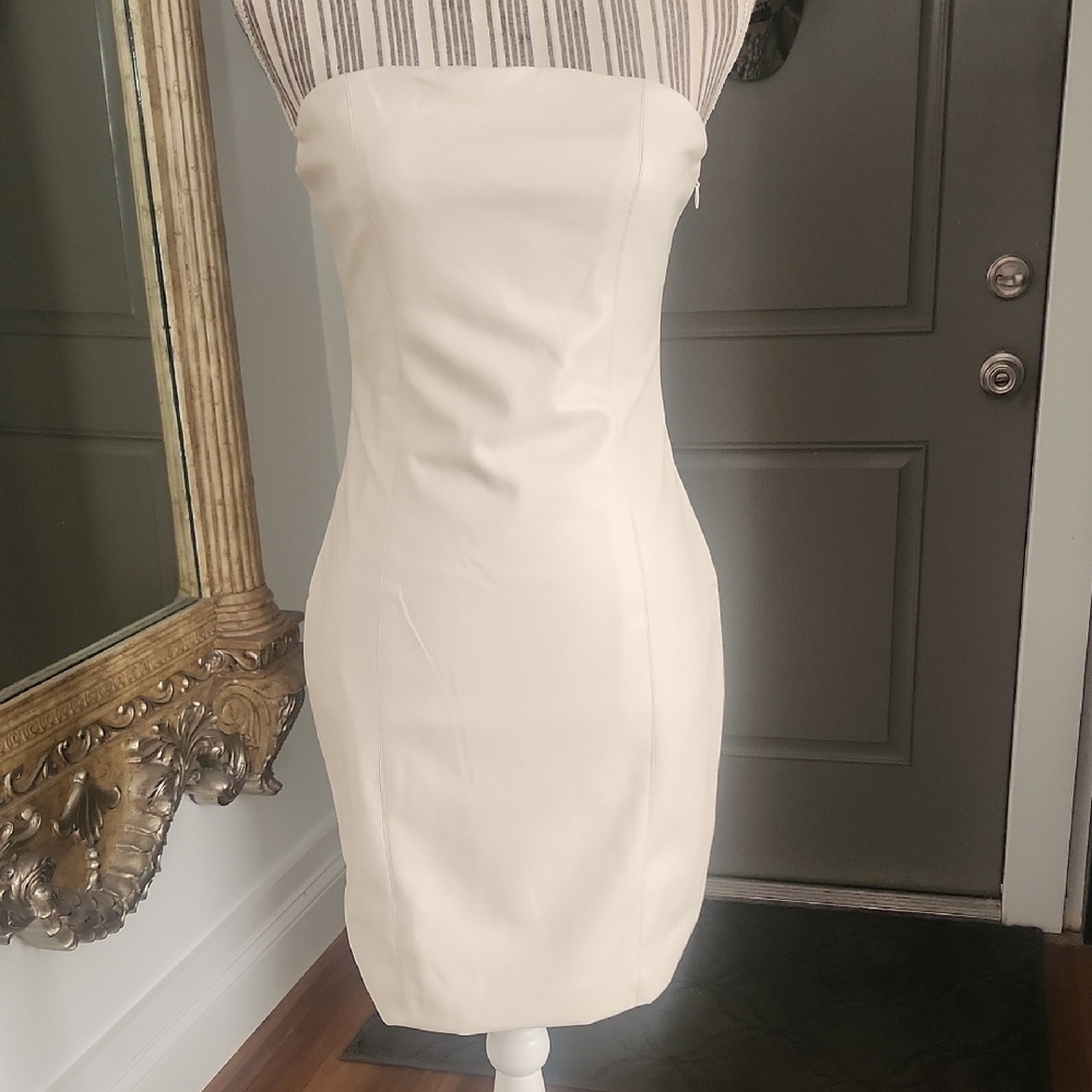 Faux Leather LBLC the Label Strapless Dress